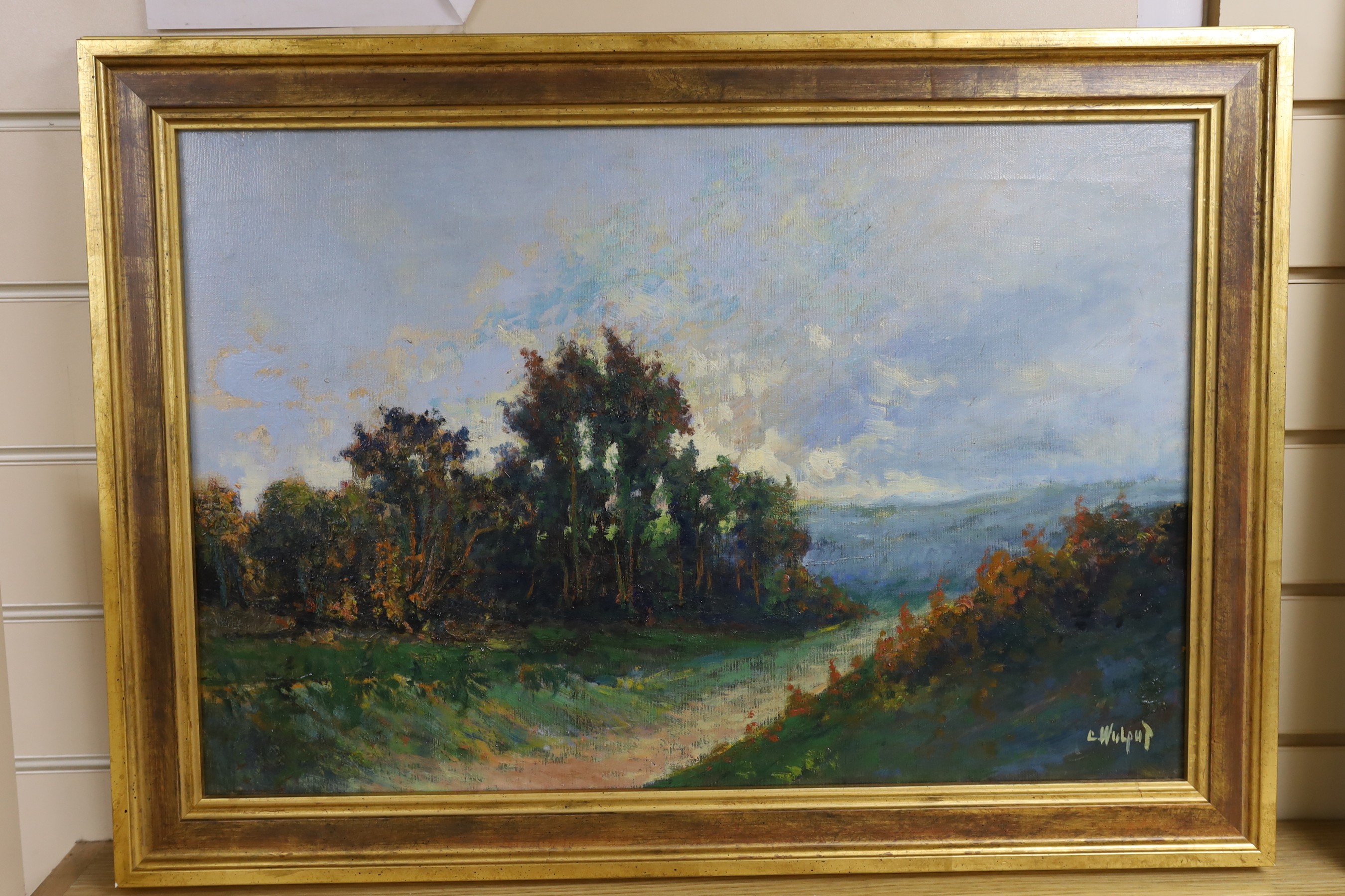 C. Wulput, oil on canvas, Heathland landscape, signed, 40 x 59cm